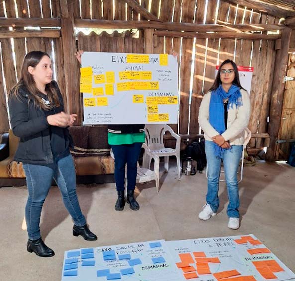 distrito-de-palmas-05